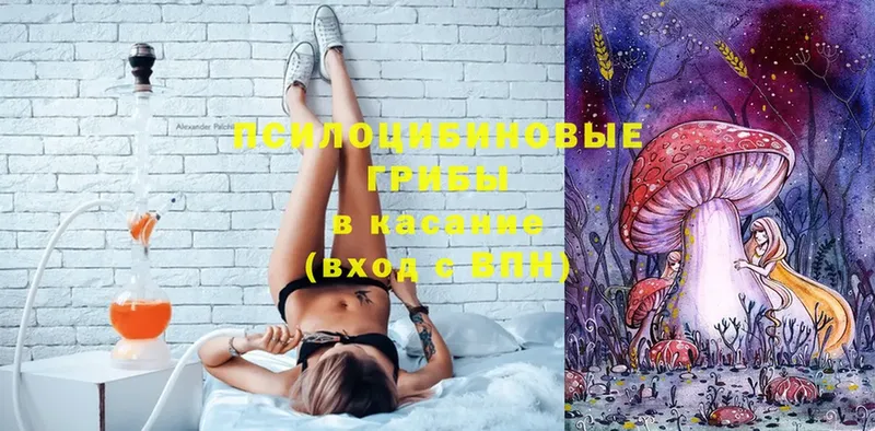 Галлюциногенные грибы Cubensis  Каменск-Шахтинский 